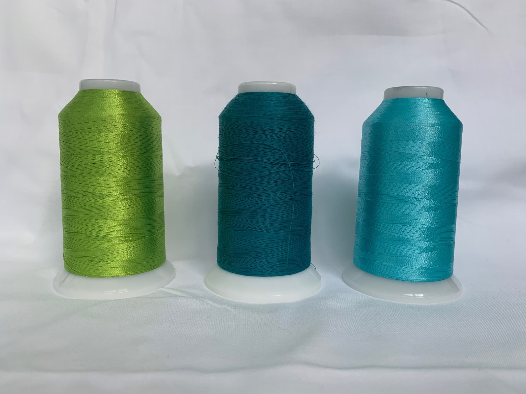 About Ann Duncan-Gibbs